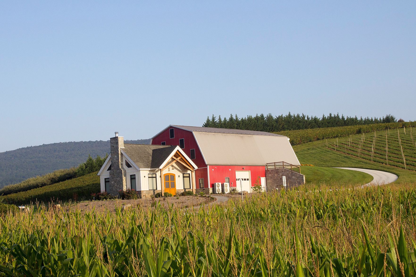 winery